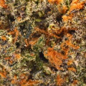 Gelato THCa Up Close