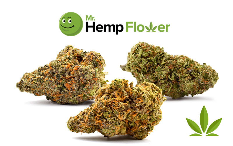 Best THCa flower