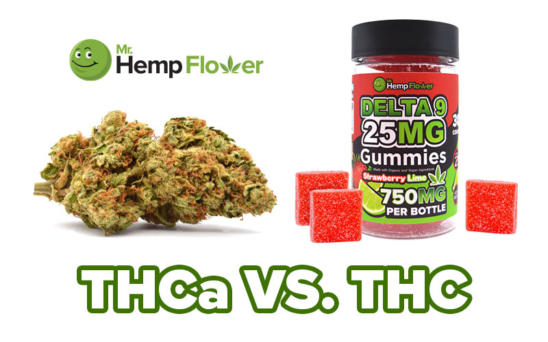 THCa vs. THC