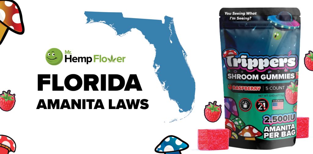 Is Amanita Mushroom legal in Florida