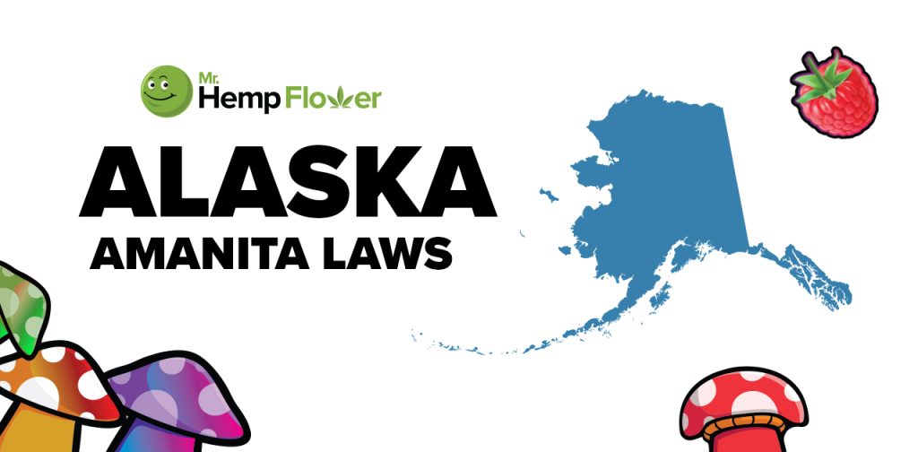 Is Amanita Mushroom Legal in Alaska
