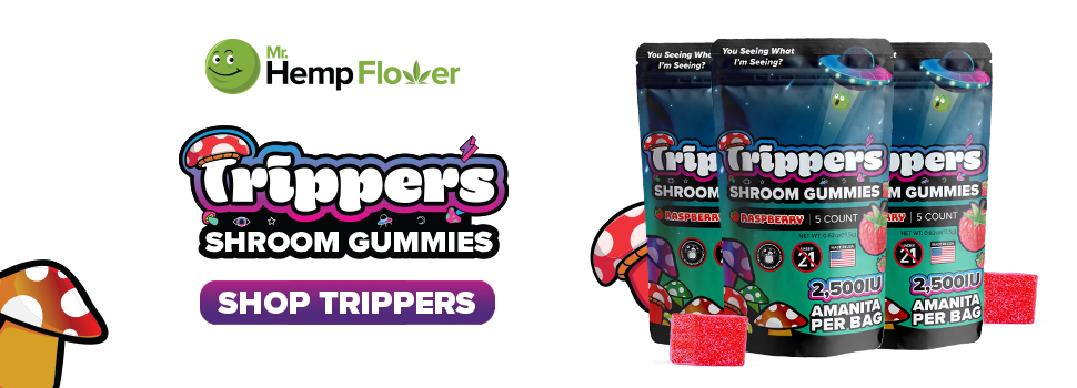 Buy Amanita Mushroom Gummies Arkansas