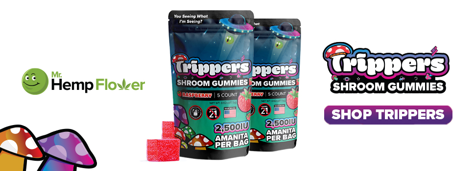 Buy Amanita Gummies Washington