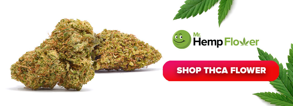 Buy THCA Flower in Alaska