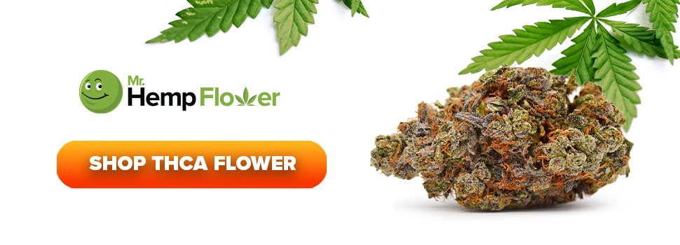 Buy THCA Flower in Arizona