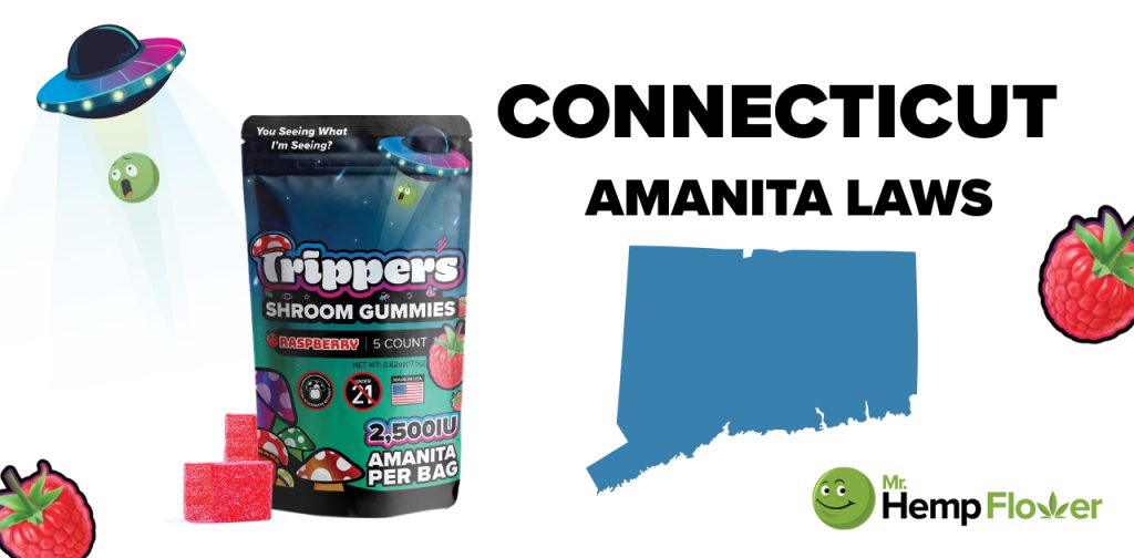 Is Amanita Mushroom Legal in Connecticut