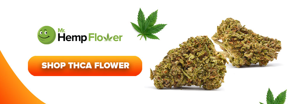 Buy THCa Flower in Florida