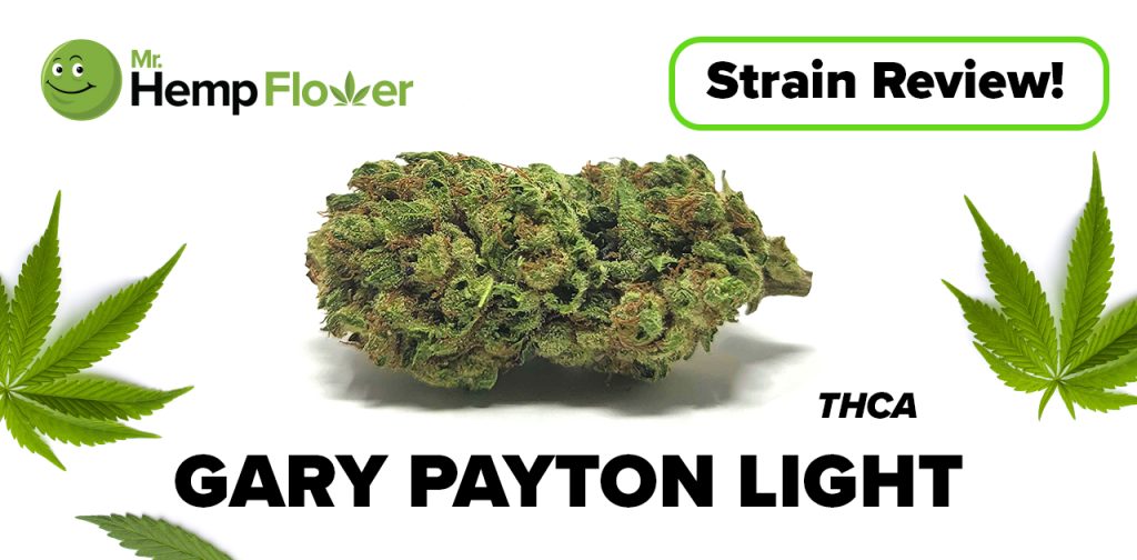 Gary Payton THCA Flower Strain Review