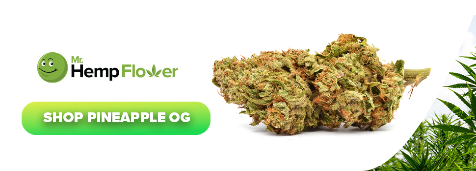 Buy Pineapple OG THCA Flower Strain