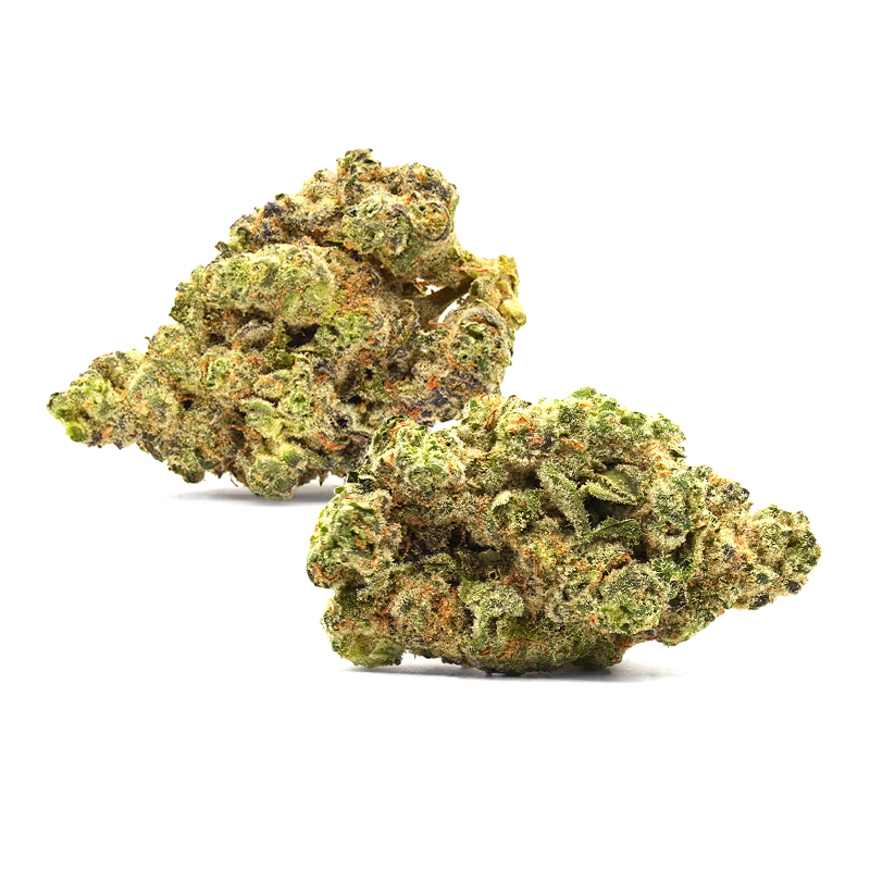 Mango Mentality THCa flower buds close-up