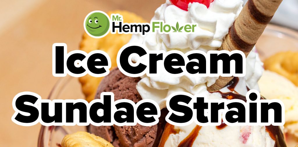 ice cream sundae strain