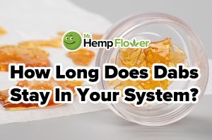 How Long Do Dabs Stay in Your System for a Drug Test?