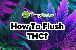 How to Flush THC from Your System: Tips That Work